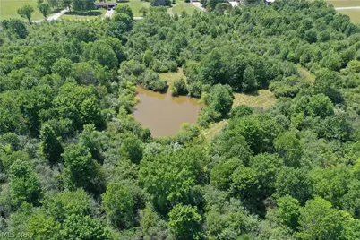 Leiby Osborne Road, Worthington, OH 44470 - Photo 23