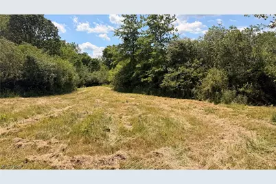 Leiby Osborne Road, Worthington, OH 44470 - Photo 11