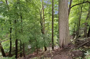 1351 N Circle View Dr, Green Hills, OH 44131 - Photo 21