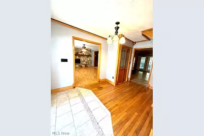 46605 Main Street, Jacobsburg, OH 43933 - Photo 9