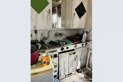 1398 E 91st Street, Loveland, OH 44106 - Photo 9