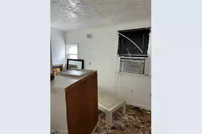 1398 E 91st Street, Loveland, OH 44106 - Photo 15