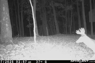 33509 Clipner Rd, Ray, OH 45647 - Photo 23