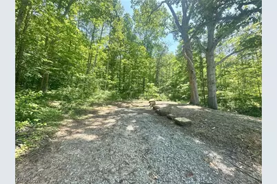 00001 Morton Hill Road, Stafford, OH 43786 - Photo 43
