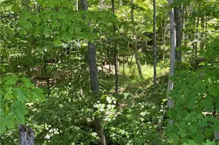 1016 Mechanicsville Rd, Geneva, OH 44041 - Photo 23