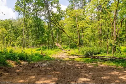 31800 Chestnut Ridge Road, Danville, OH 43050 - Photo 43