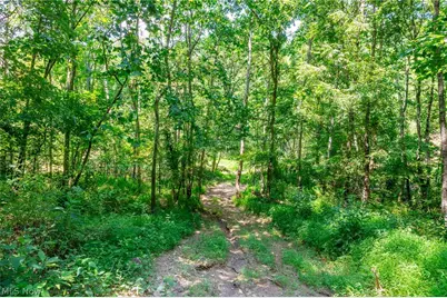 31800 Chestnut Ridge Road, Danville, OH 43050 - Photo 17