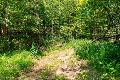 31800 Chestnut Ridge Road, Danville, OH 43050 - Photo 19