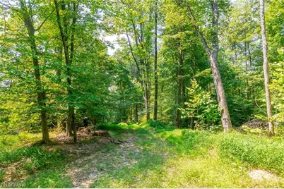 31800 Chestnut Ridge Road, Danville, OH 43050 - Photo 15