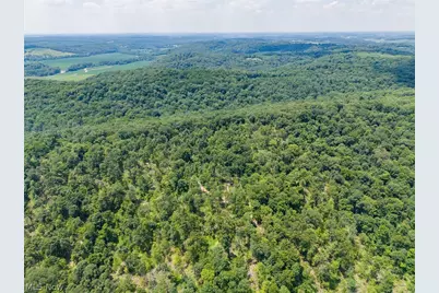 31800 Chestnut Ridge Road, Danville, OH 43050 - Photo 3