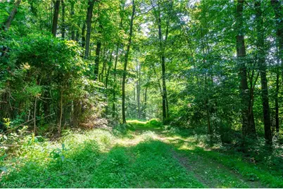 31800 Chestnut Ridge Road, Danville, OH 43050 - Photo 13