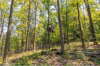 31800 Chestnut Ridge Road, Danville, OH 43050 - Photo 37
