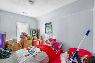 4311 Bush Ave, Loveland, OH 44109 - Photo 23