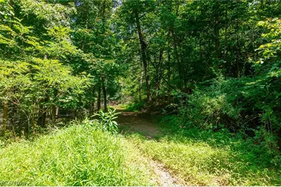 31800 Chestnut Ridge Road #1, Danville, OH 43050 - Photo 7