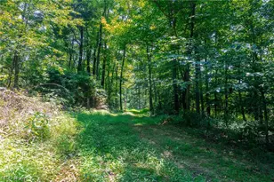 31800 Chestnut Ridge Rd, Danville, OH 43050 - Photo 1
