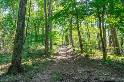 31800 Chestnut Ridge Road #2, Danville, OH 43050 - Photo 3