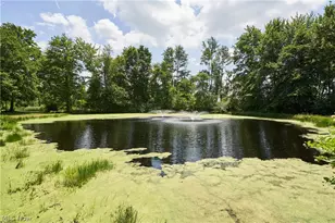 1740 Steffy Rd, Mogadore, OH 44260 - Photo 23