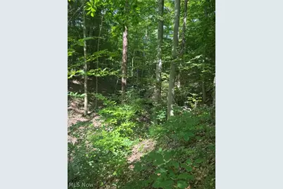 3650 W 4th Street, Ontario, OH 44903 - Photo 39
