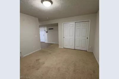 393 Caleb Drive, Akron, OH 44321 - Photo 29