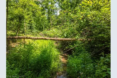 Lot 1 Township Rd 51, Somerset, OH 43783 - Photo 21