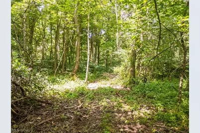Lot 4 Township Rd 51, Somerset, OH 43783 - Photo 11