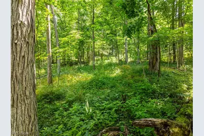Lot 6 Township Rd 51, Somerset, OH 43783 - Photo 15