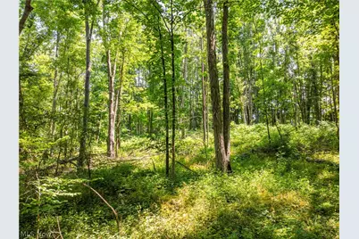 Lot 7 Township Rd 51, Somerset, OH 43783 - Photo 15