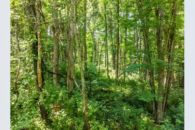 Lot 7 Township Rd 51, Somerset, OH 43783 - Photo 9