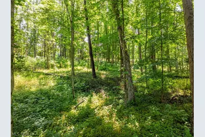 Lot 8 Township Rd 51, Somerset, OH 43783 - Photo 9