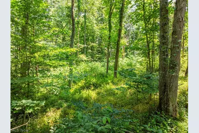 Lot 9 Township Rd 51, Somerset, OH 43783 - Photo 5
