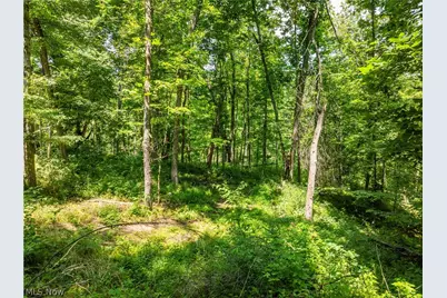 Lot 9 Township Rd 51, Somerset, OH 43783 - Photo 3