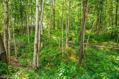 Lot 11 Township Rd 51, Somerset, OH 43783 - Photo 11