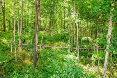 Lot 11 Township Rd 51, Somerset, OH 43783 - Photo 9