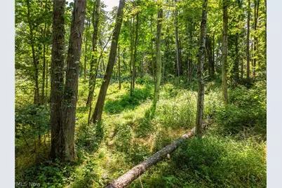 Lot 15 Township Rd 51, Somerset, OH 43783 - Photo 11