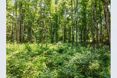 Lot 16 Township Rd 51, Somerset, OH 43783 - Photo 13