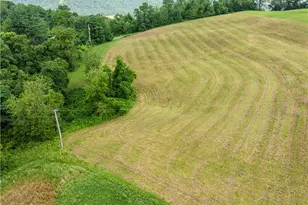 50109 Sykes Ridge Rd, Clarington, OH 43915 - Photo 21
