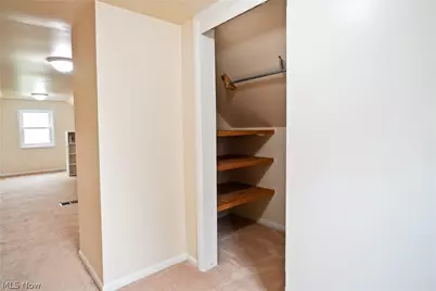 193 Fremont Avenue, Akron, OH 44312 - Photo 33