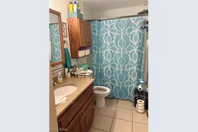 1717 Stirling Road, Madison, OH 44057 - Photo 29