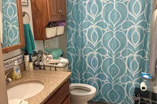 1717 Stirling Rd, Madison, OH 44057 - Photo 29