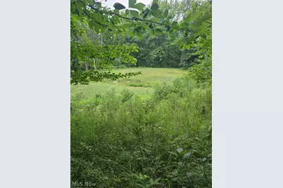 4146 New Hudson Road, Orwell, OH 44076 - Photo 39