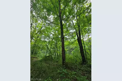 4146 New Hudson Road, Orwell, OH 44076 - Photo 43