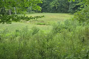 4146 New Hudson Rd, Orwell, OH 44076 - Photo 39