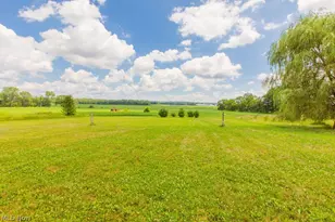 9503 Mennonite Rd, Wadsworth, OH 44281 - Photo 15