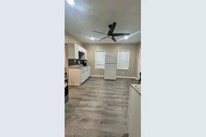 723 E 165th Street, Loveland, OH 44110 - Photo 3