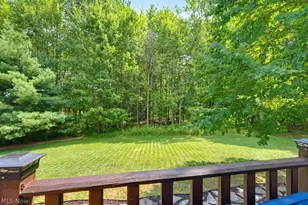 10313 Dayflower Dr, Twinsburg, OH 44087 - Photo 45