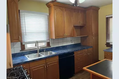1198 Sherman Street, Akron, OH 44301 - Photo 5