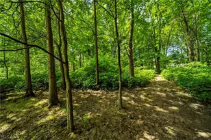 38541 Bell Rd, Willoughby, OH 44094 - Photo 3