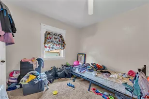 9607 Sophia Ave, Loveland, OH 44104 - Photo 41