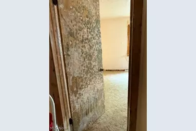 1766 Tanglewood Drive, Akron, OH 44313 - Photo 3