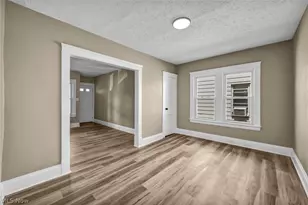 911 Royal Rd, Loveland, OH 44110 - Photo 19